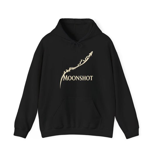 Moonshot AI Equity Play